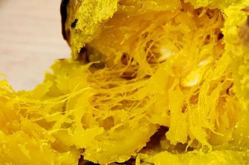 网红吃瓜猛料黄料腿环,吃瓜猛料背后的黄料腿环风云